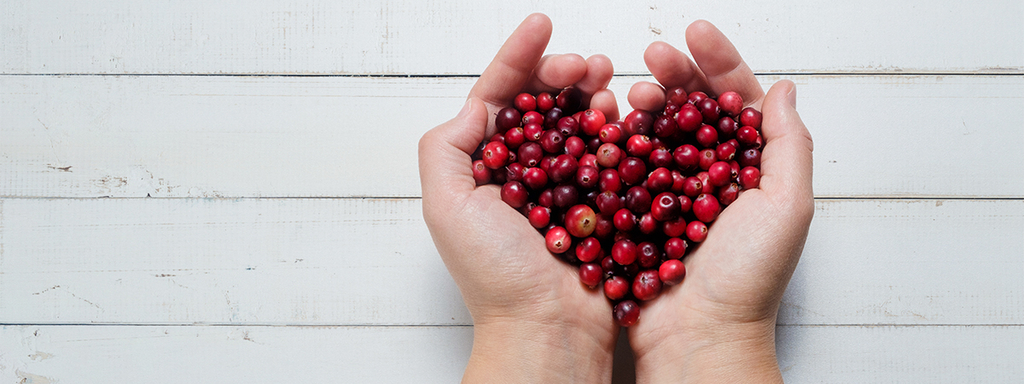 Cranberry verbetert endotheelfunctie