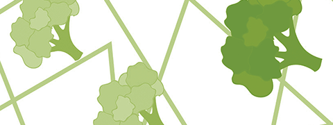 Broccolikiemen en microbiota bij prediabetes