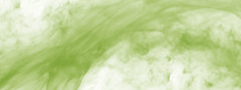 Spirulina