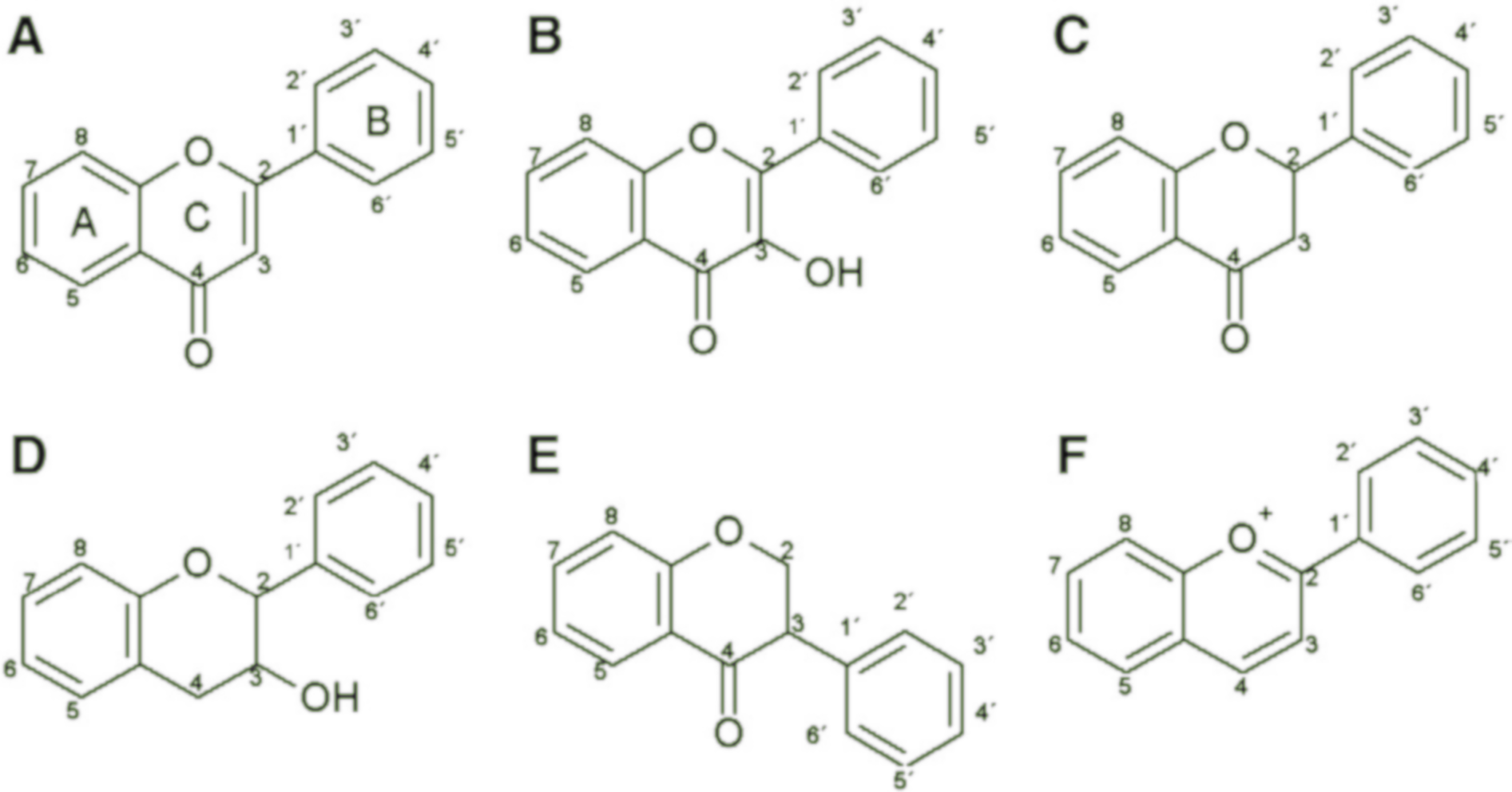 Onderverdeling van flavonoïden op basis van de chemische formule