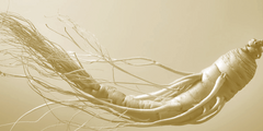 Ginseng
