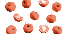 Tomaten bron van lycopeen