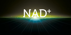 Duo van Nicotinamide en D-ribose - een krachtige NAD+ booster