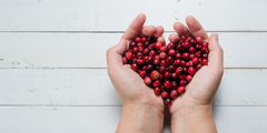 Cranberry verbetert endotheelfunctie