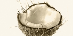 Ketogeen dieet en kokosvetten tegen alzheimer?