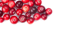Cranberry's en urinewegen