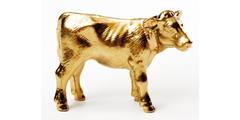 Gouden koe