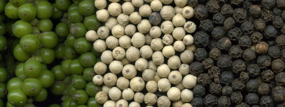 Ayurvedisch recept tegen artrose