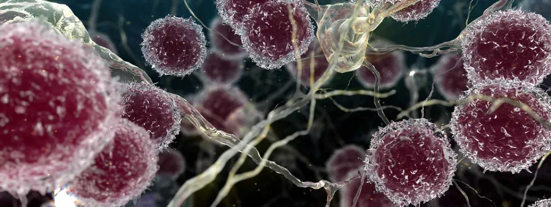 Nutritioneel supplement tegen multiple sclerose