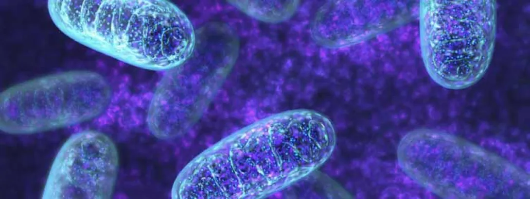 Depressie gevolg van tekort acetylcarnitine?