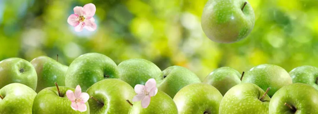 Appels en appelsap zelfde impact op serum-urinezuur