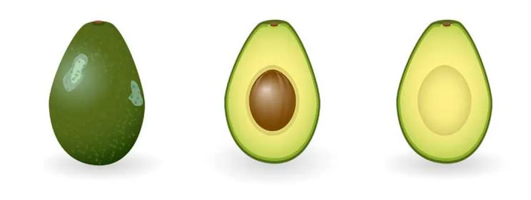 Avocado tegen metabool syndroom