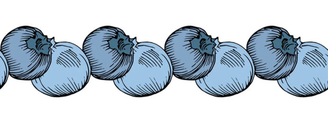 Bosbes voor de bloedvaten