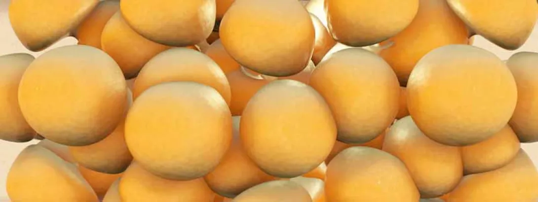 Vetweefsel manipuleren om obesitas te voorkomen