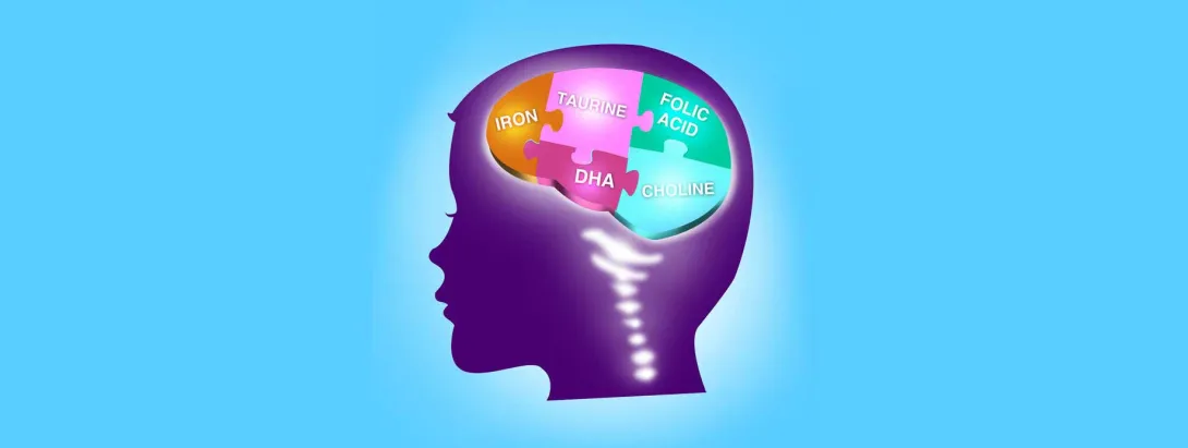 Betere cognitieve ontwikkeling door choline tijdens zwangerschap