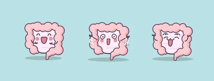 Microbiota vs verouderen