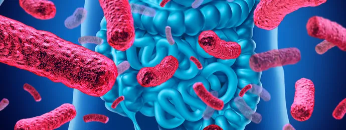 Microbiota en immuunsysteem