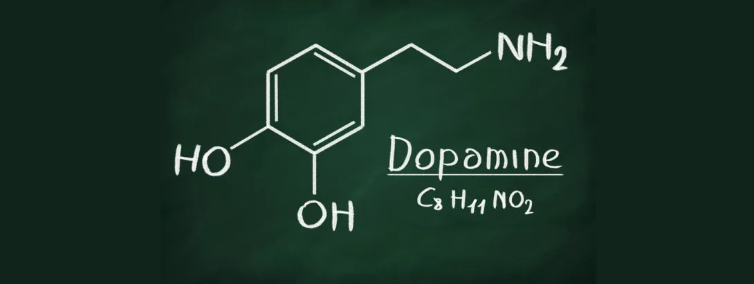 Slaap-waakritme afhankelijk van dopamine