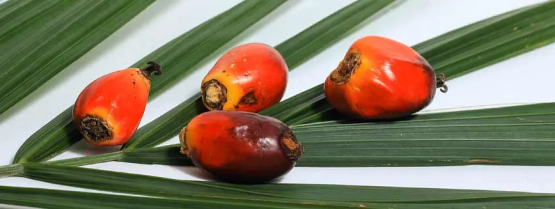 Carotenoïden beschermen tegen metabool syndroom