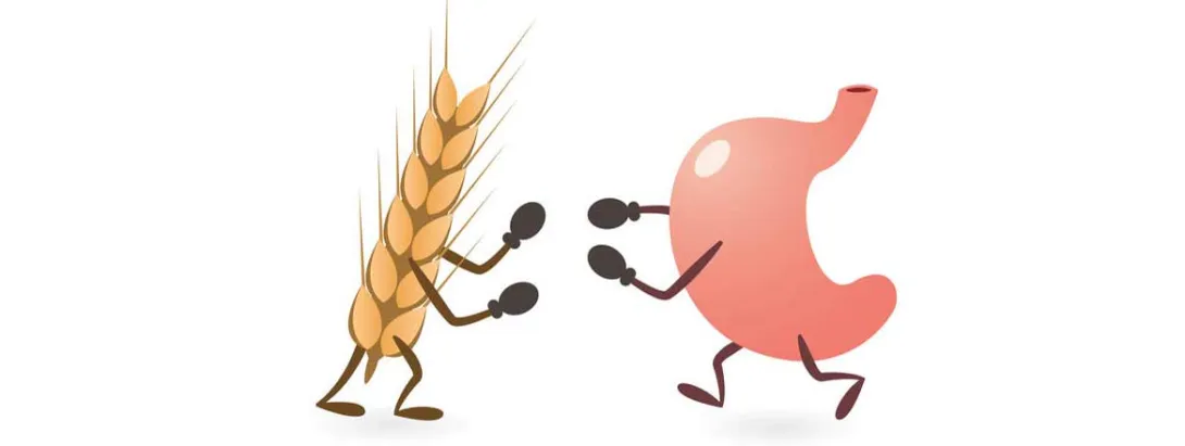 Gluten verantwoordelijk voor ontwikkeling coeliakie?