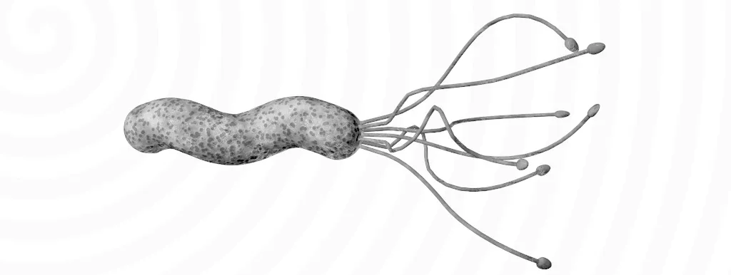 Melatonine tegen maagirritatie