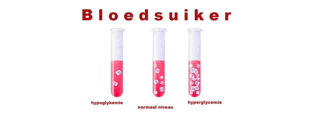 Liponzuur, carnosine en thiamine als onderdeel van diabetesbehandeling
