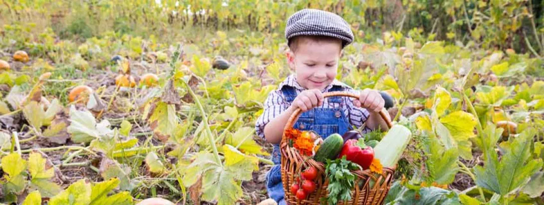 Kinderen eten voedzamer wanneer ze nabij bos leven