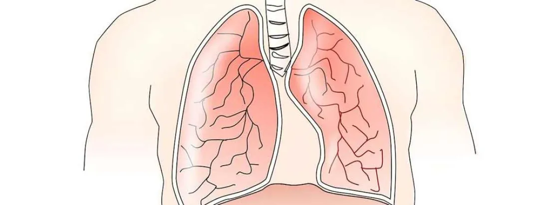 Vitamine C en vitamine E bevorderen herstel na klaplong