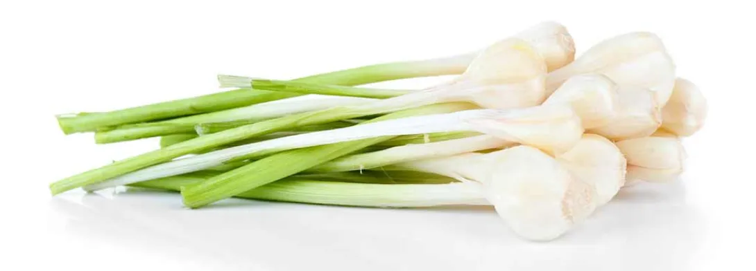 Knoflook gunstig bij diabetes