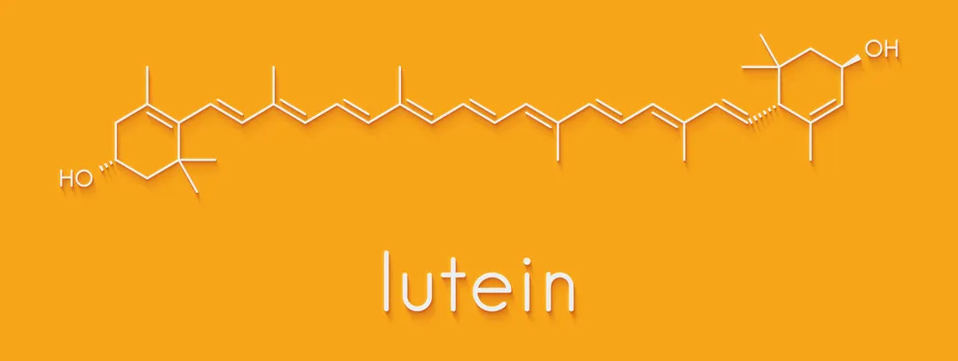 Luteïne voor cognitieve functies bij ouderen