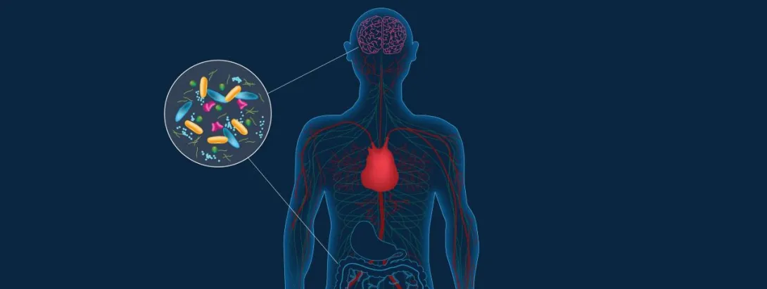 Grote rol darmen bij ontstaan parkinson