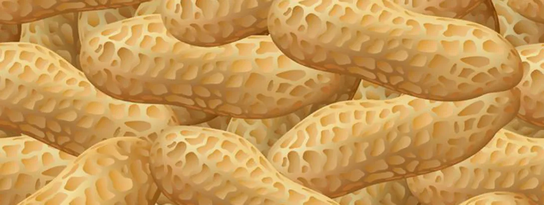 Pindasnacks optie voor gewichtsbeheersing