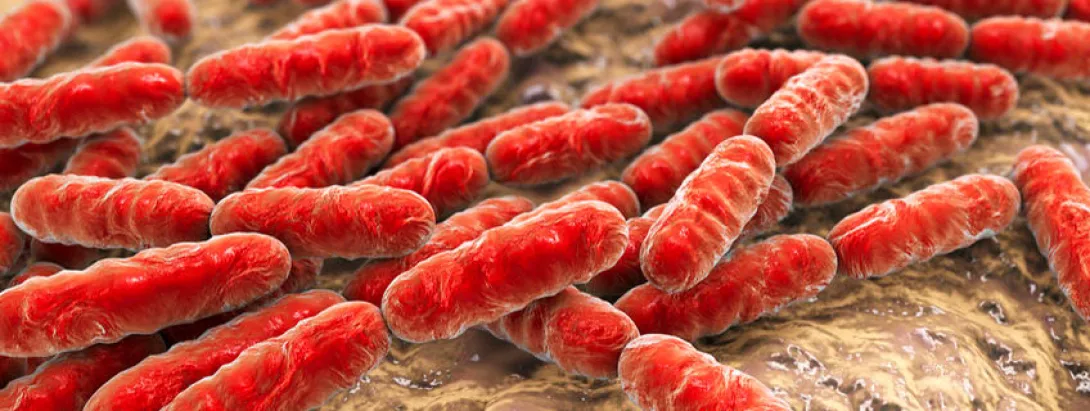 Mild effect van probiotica op bloedsuiker