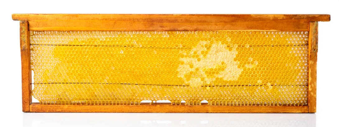 Propolis versnelt genezing diabetische wonde