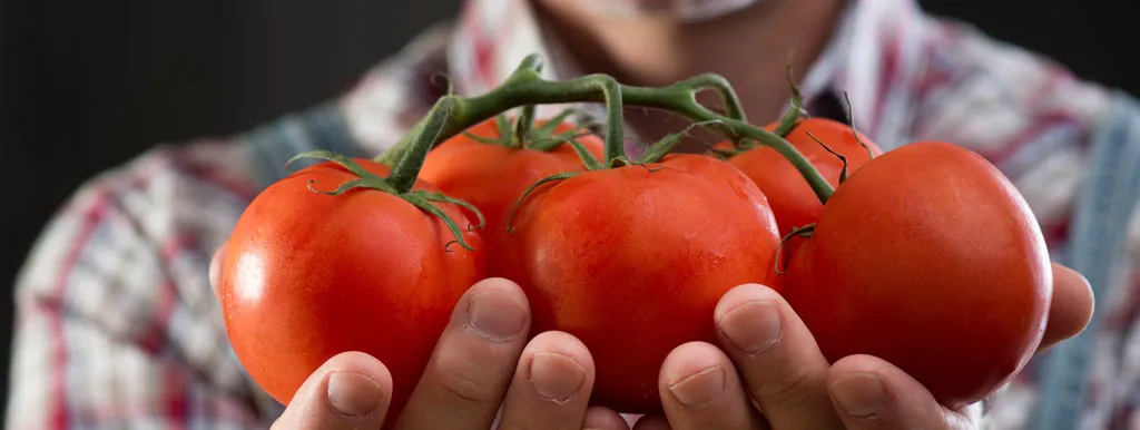 Groenten en kruiden tegen prostaatkanker
