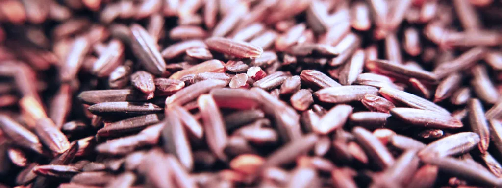 Bijwerkingen door rodegistrijst