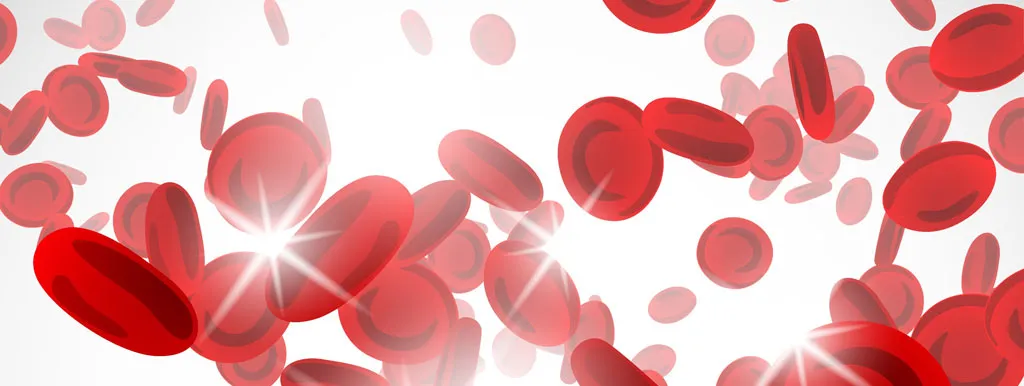 Thalassemie: omega-3 en honing