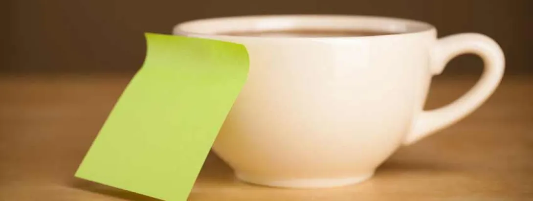 Groene thee beschermt het geheugen