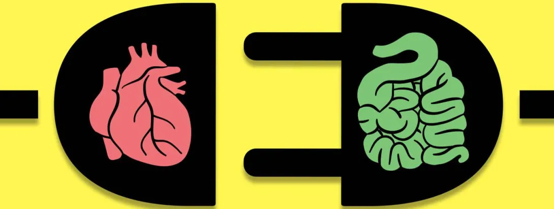 Vermeende risicofactor TMAO beschermt tegen diabetes?