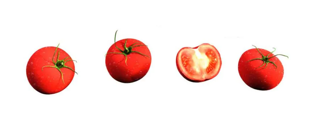 Niet alleen lycopeen verklaart bloeddrukverlaging door tomaten