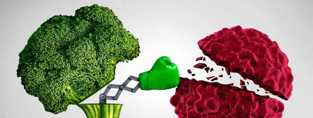 Gezond voedingspatroon vermindert sterfte na borstkankerdiagnose