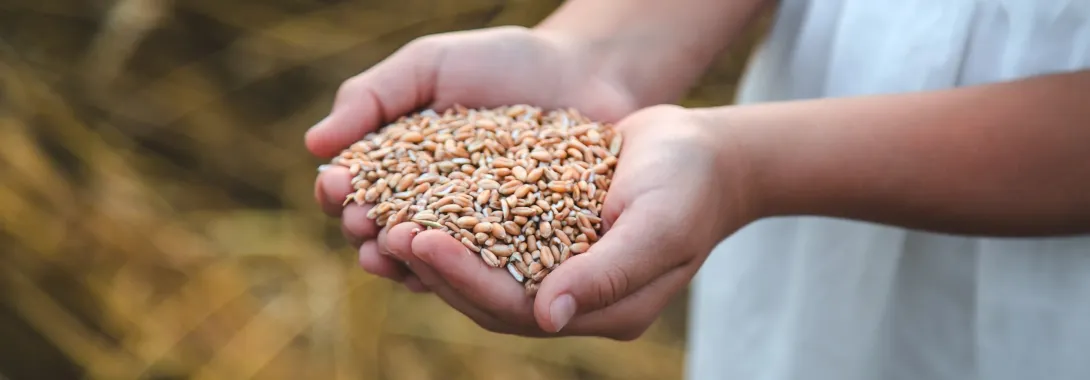 Volkoren goed voor kinderen