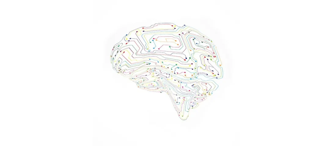 Hersenverbindingen herstellen bij alzheimer