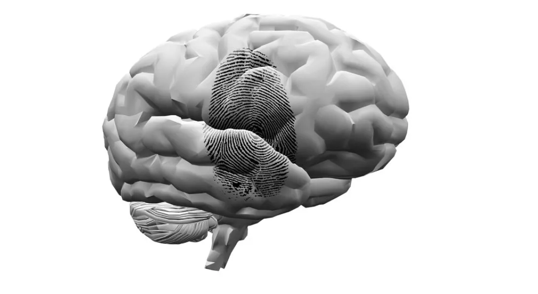 Tryptofaantekort, oorzaak van psychische aandoeningen