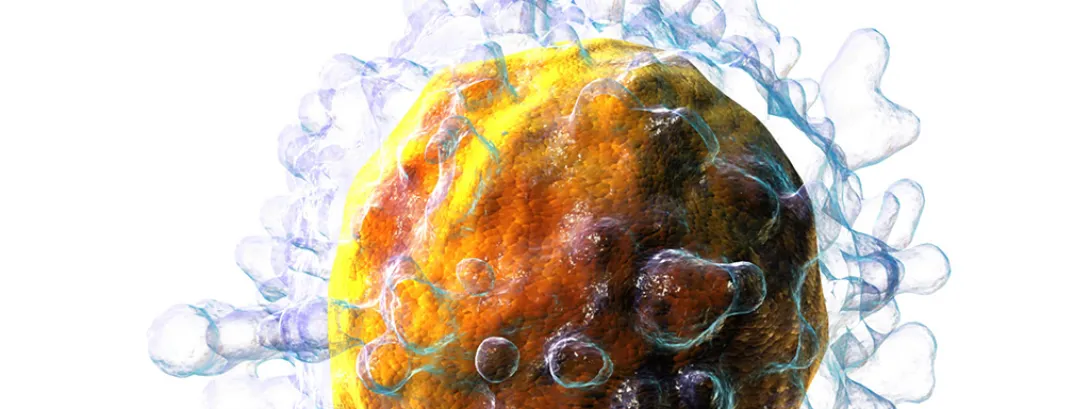 Vitamine E kan gendefect compenseren