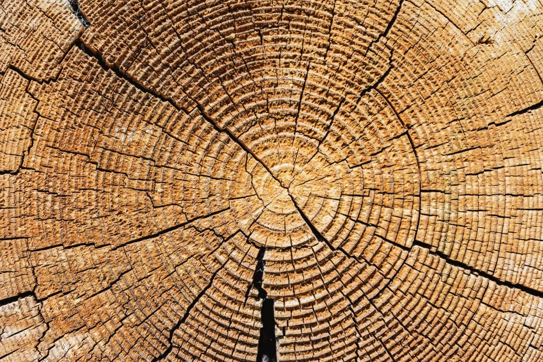 Wat is (jouw) biologische leeftijd?