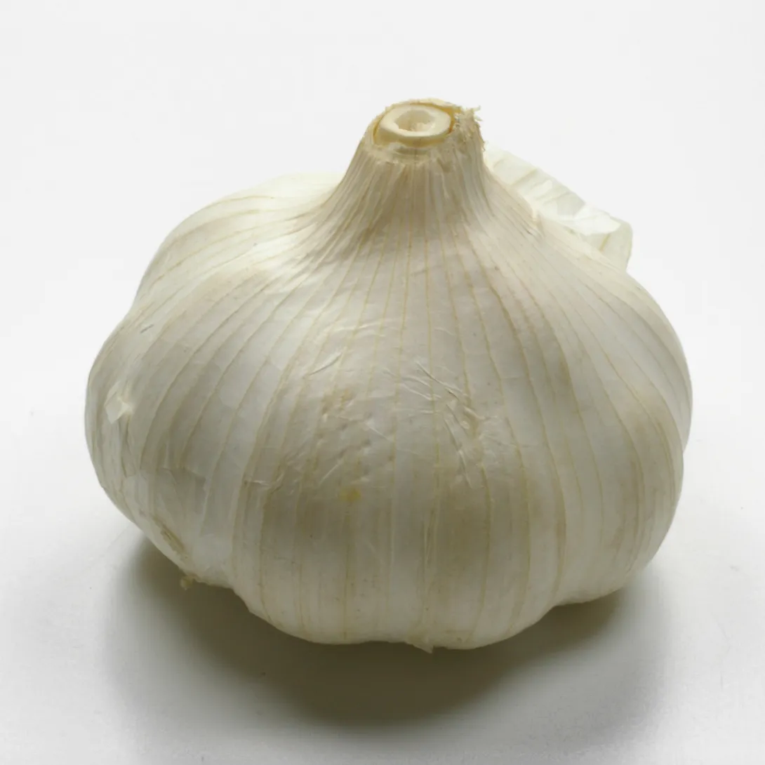 Knoflook verhoogt adiponectine
