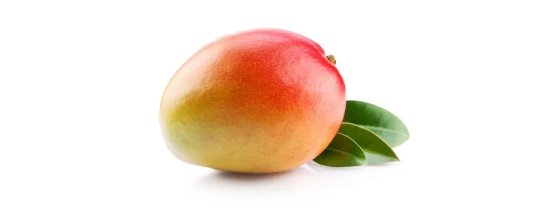 Mango's verlagen bloedsuiker bij obese volwassenen