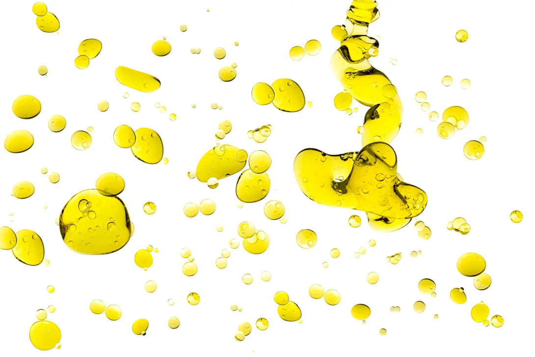 Geen vertering van vetten zonder bacteriën