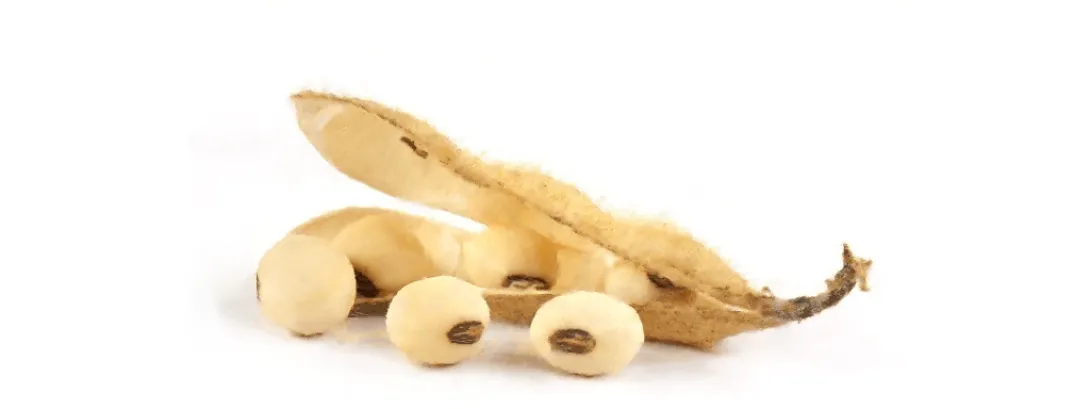 Nutritionele link tussen ontstekingen en kanker